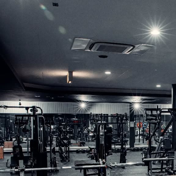 EVERLIFT