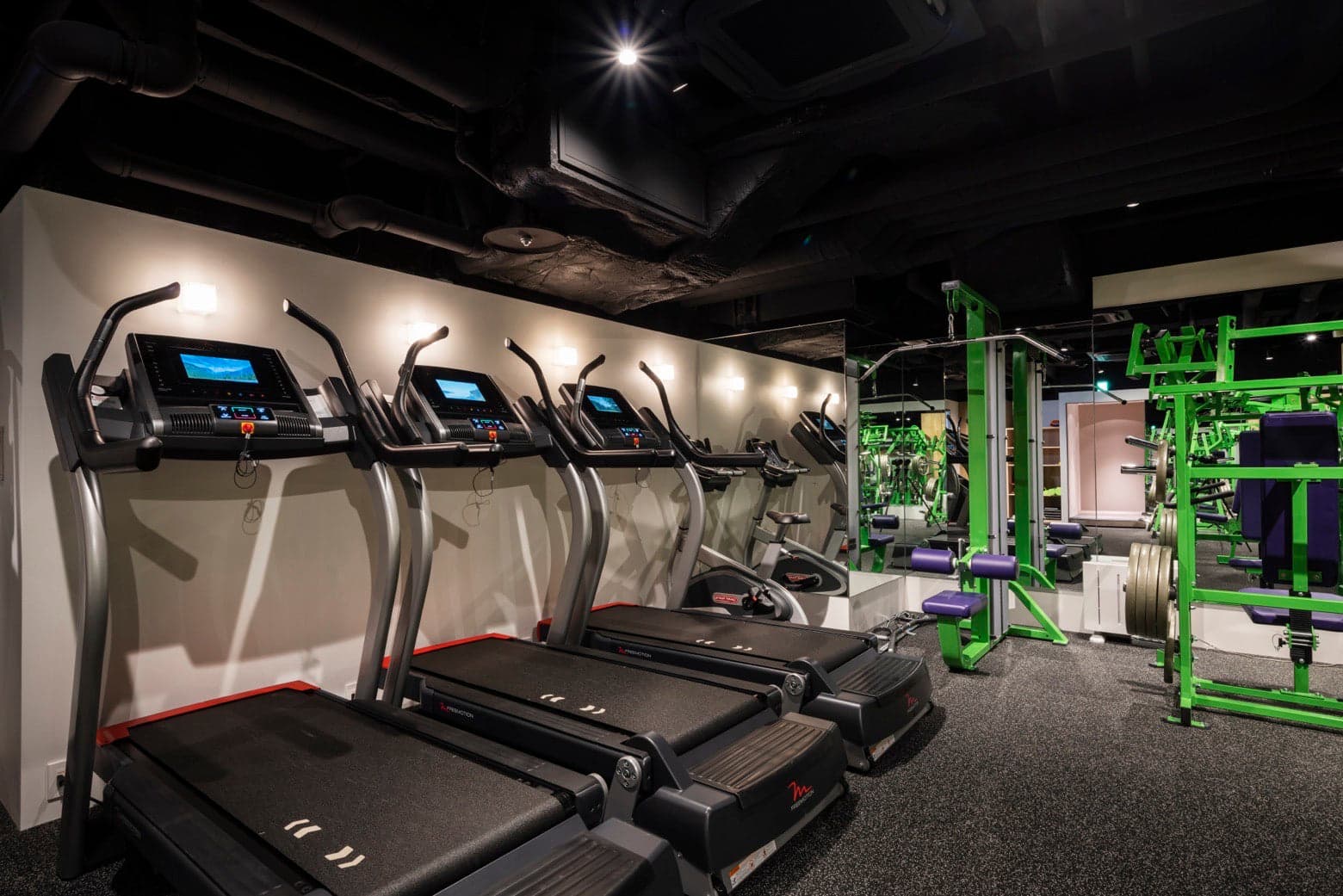 Y4 GYM